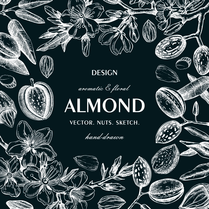 Almond nut frame design on chalkboard.Blooming branches, nuts, flower sketches. Hand-drawn vector illustration. Botanical background. NOT AI generated